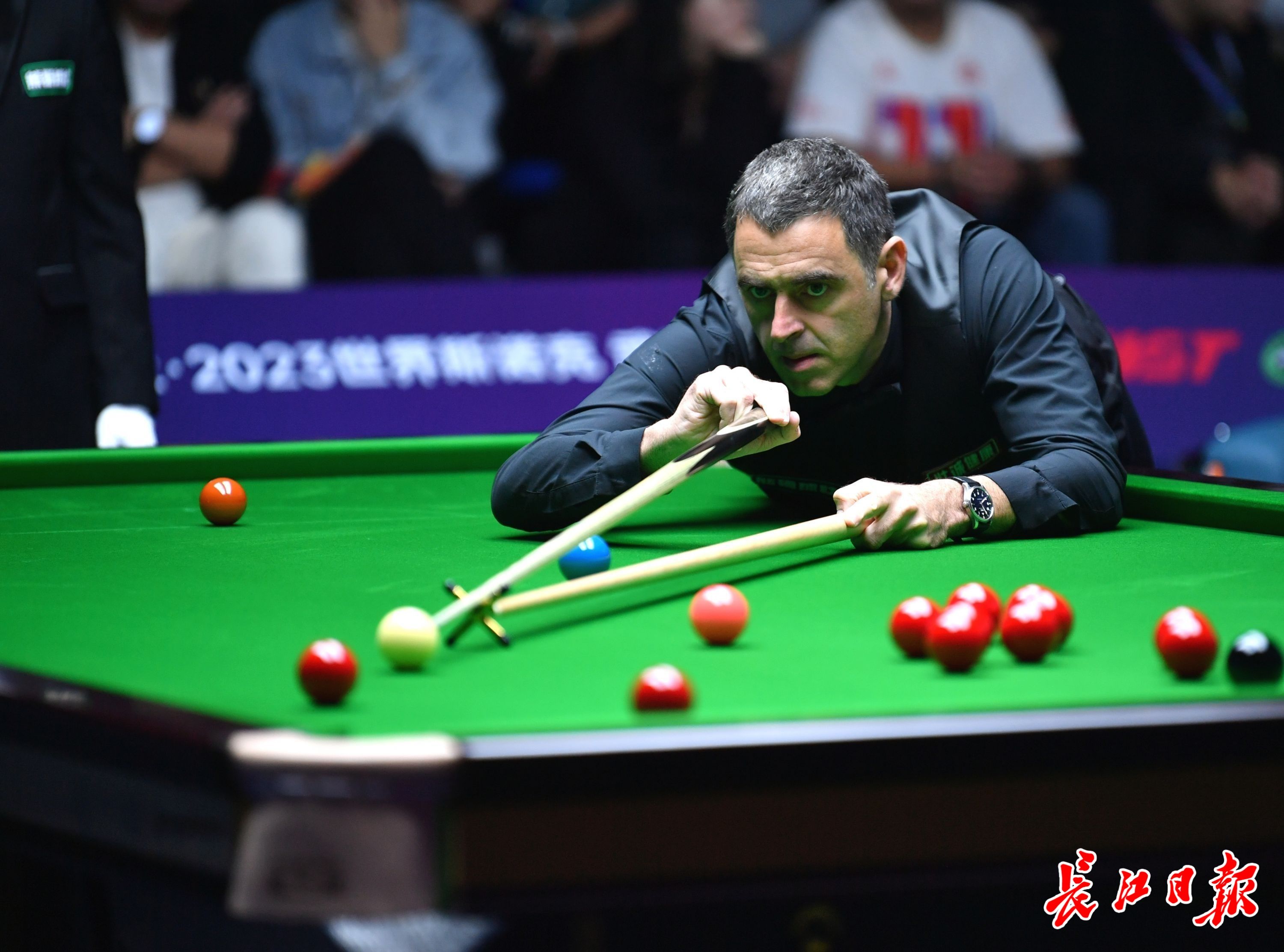 中可以看出 中可以看出