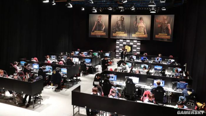 从结果看 从结果看