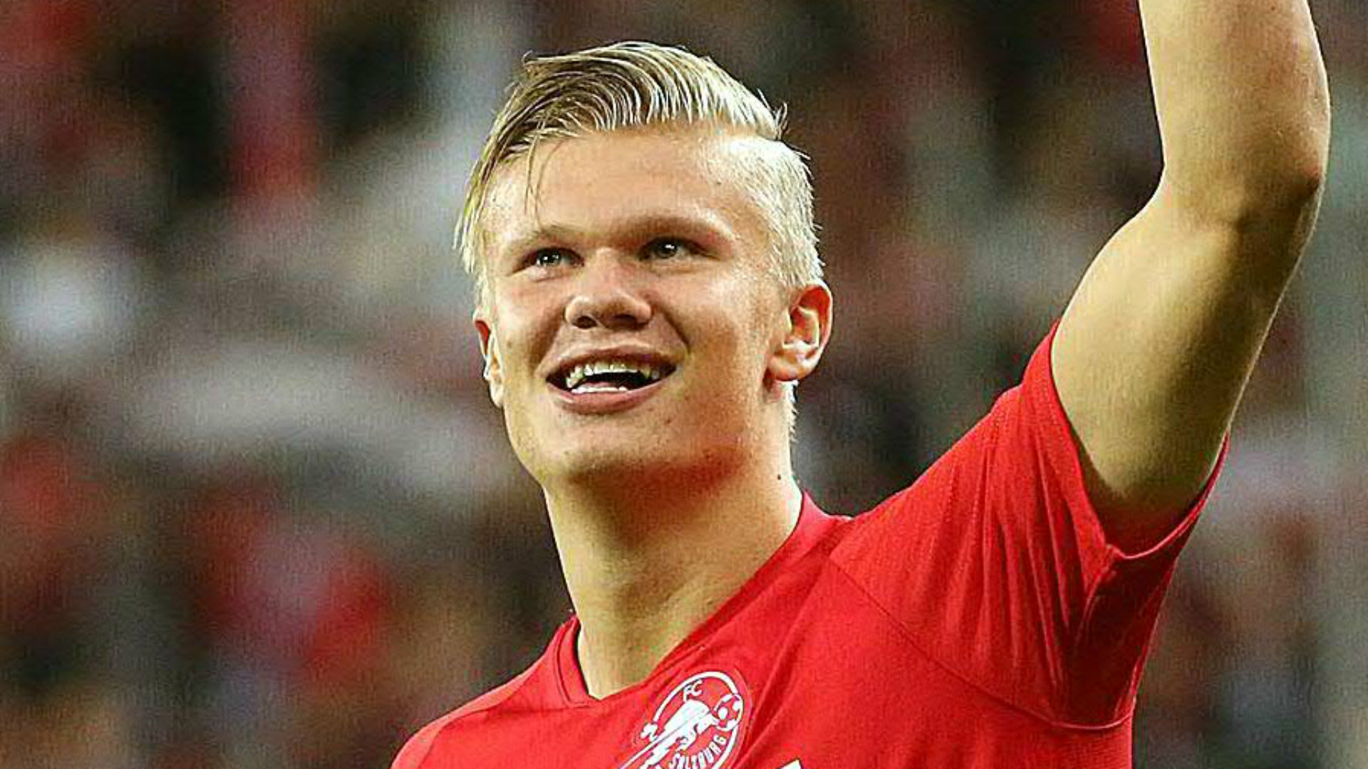 用体系掩盖 用体系掩盖