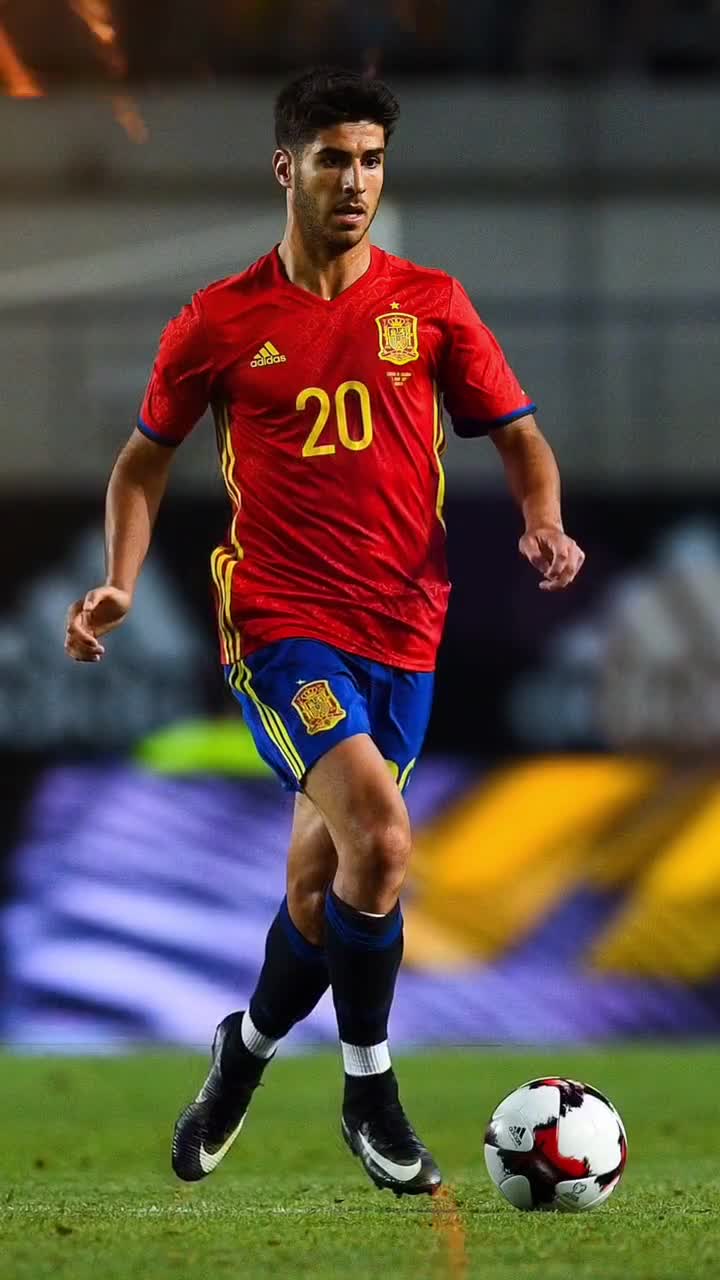 塔图姆高位 塔图姆高位